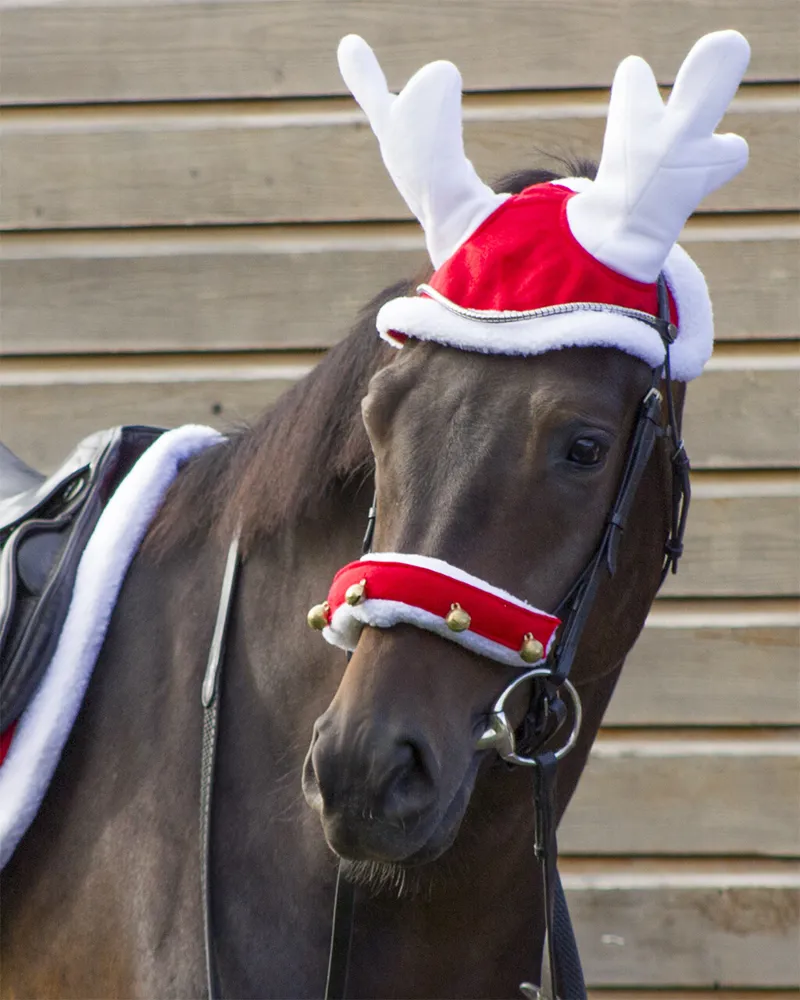 QHP Christmas Reindeer Antlers for Horses